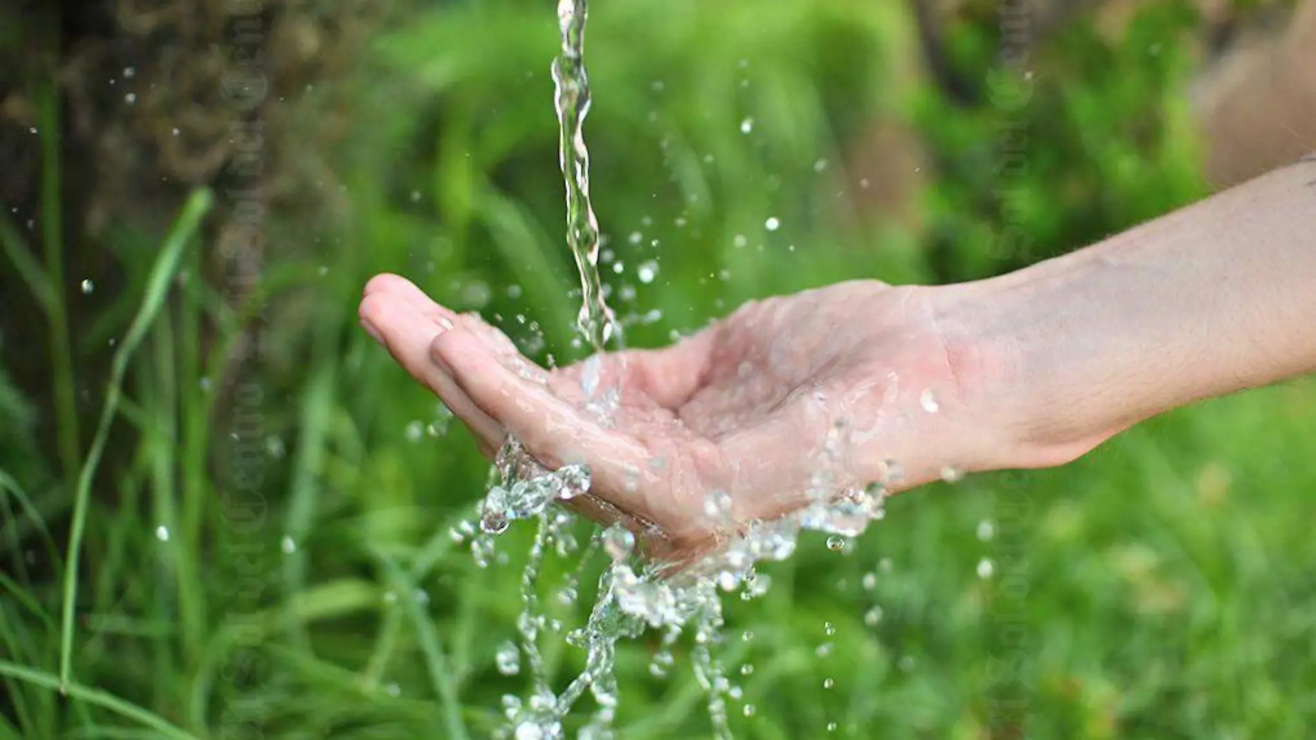 agua mano pasto